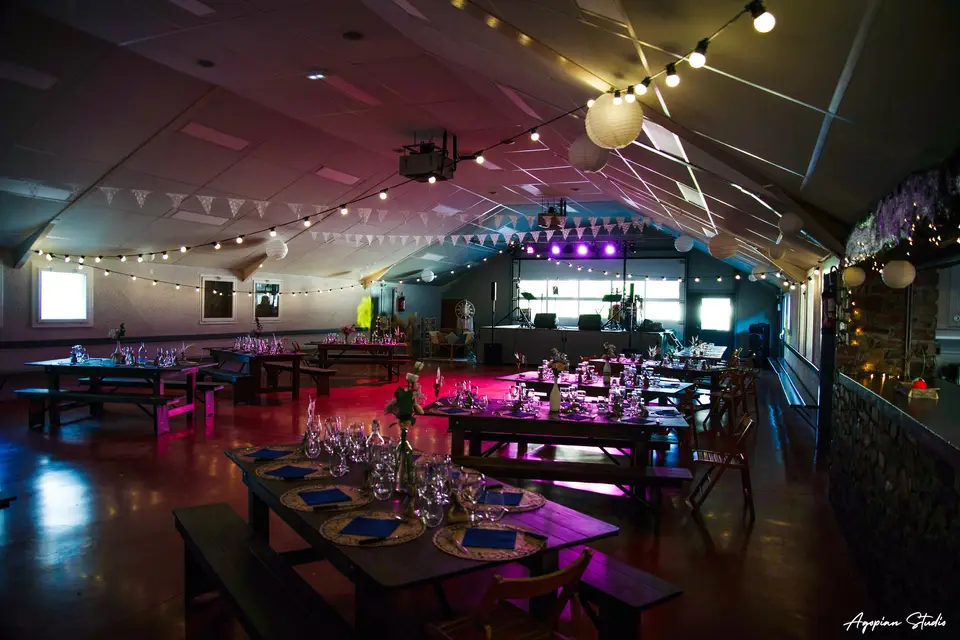 Tchoutchou-cats — photo 2