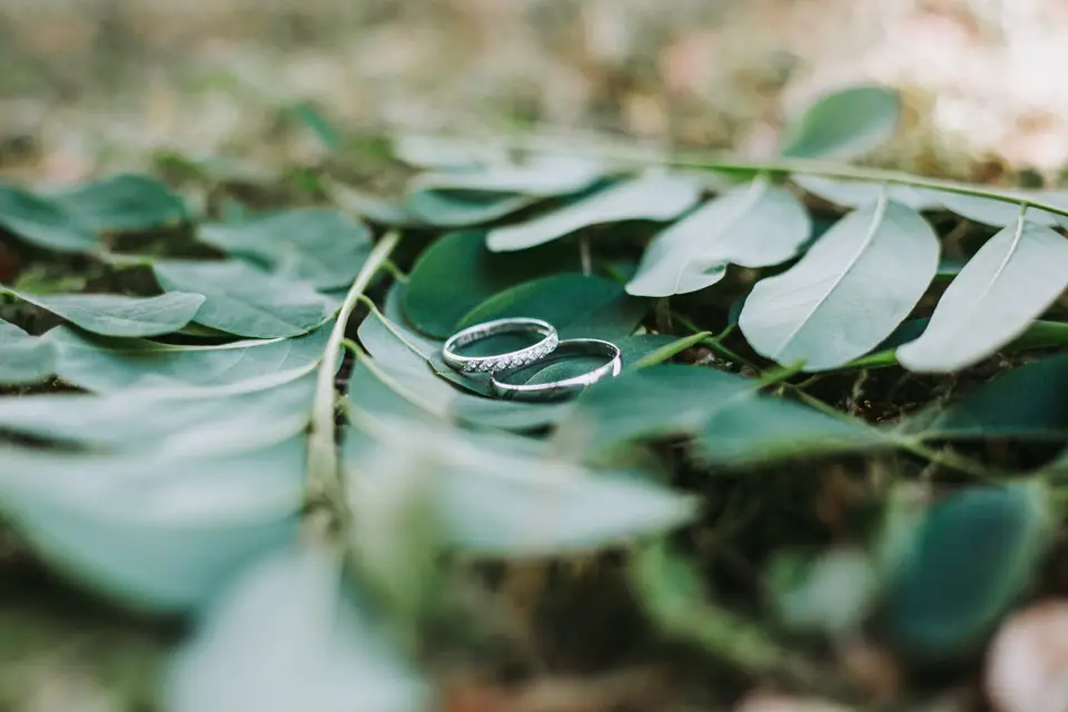 Nalia Events — photo 2