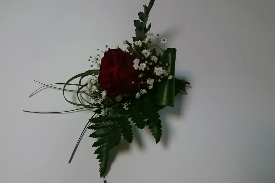 Rapid'flore — photo 3