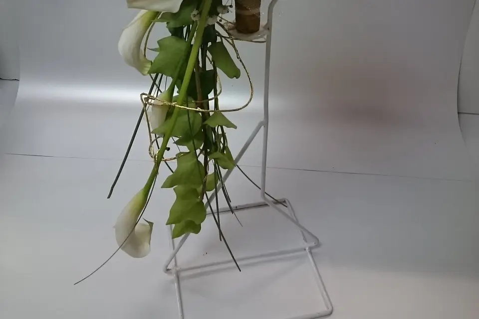 Rapid'flore — photo 4