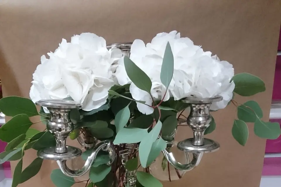 Rapid'flore — photo 6