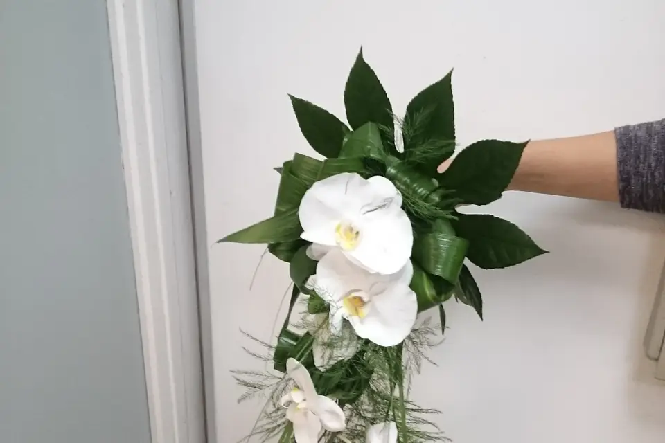 Rapid'flore — photo 7