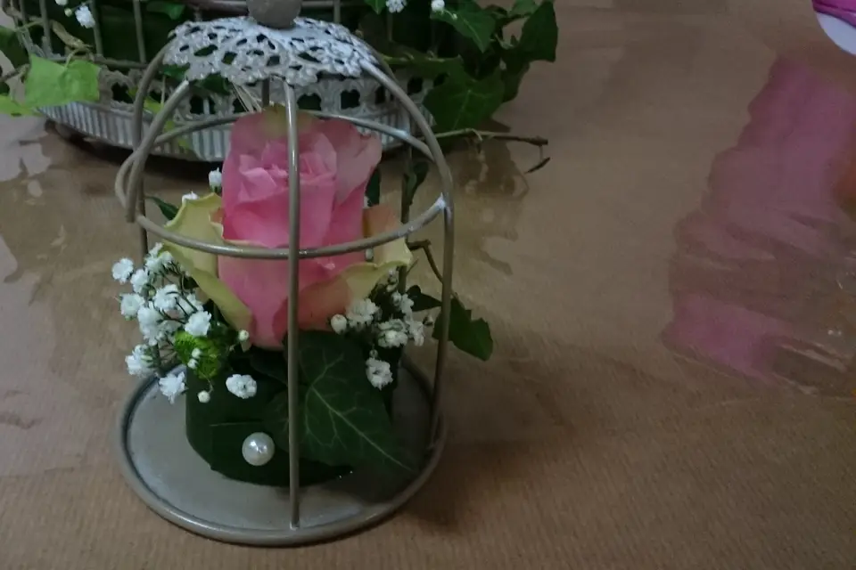 Rapid'flore — photo 8