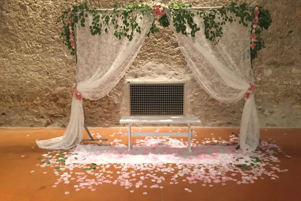 Rapid'flore — photo 1