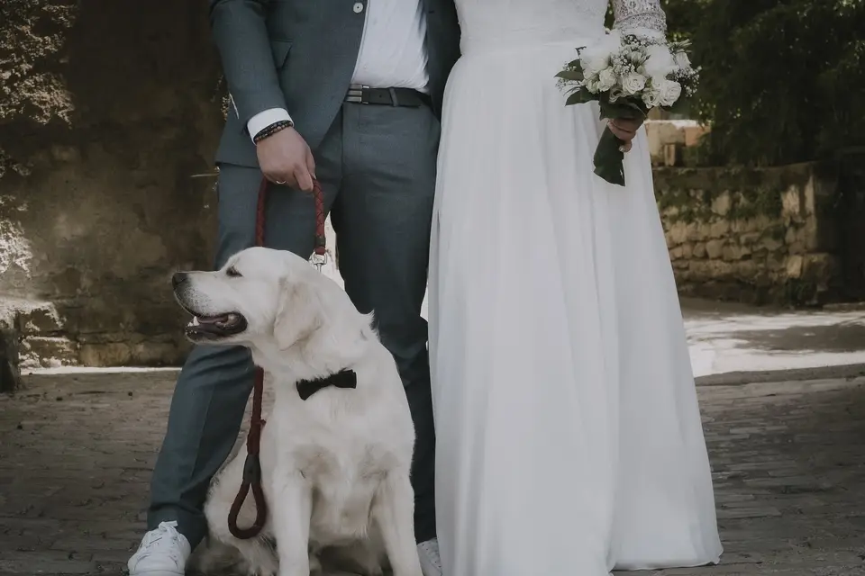 Margaux Obry - Ilys Films — photo 4