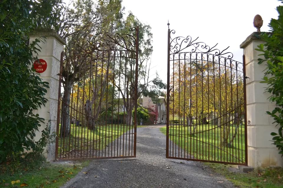 Chartreuse de Dane — photo 3