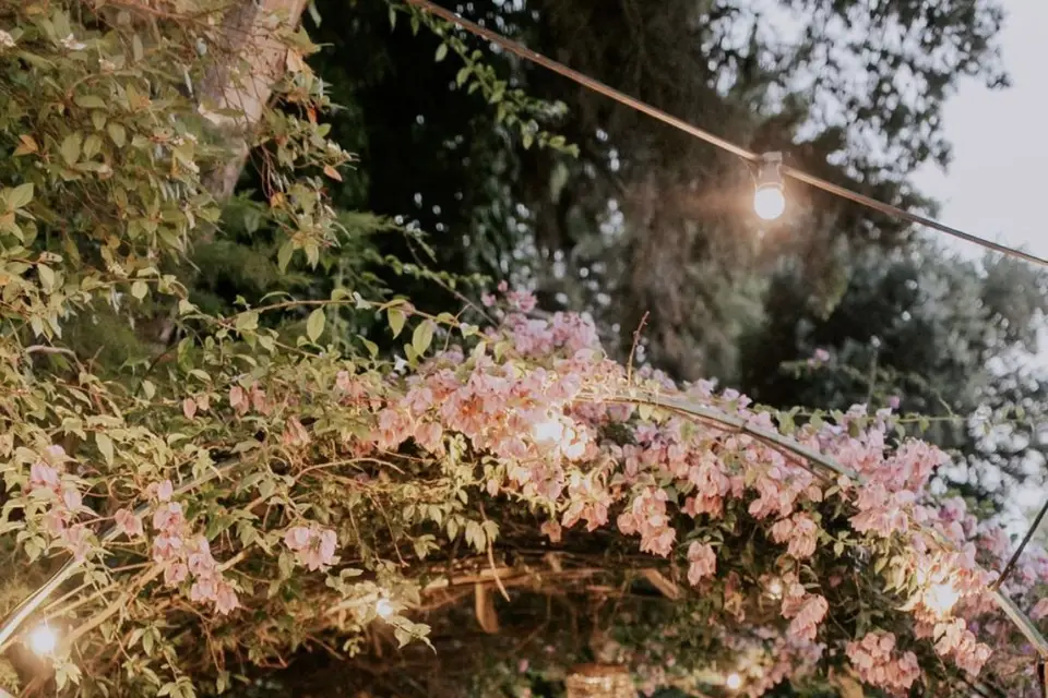 Disco Martinow — photo 7