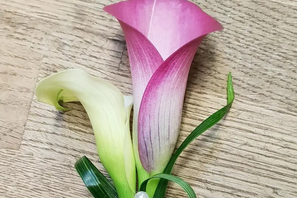 Ophélie Petit — photo 2