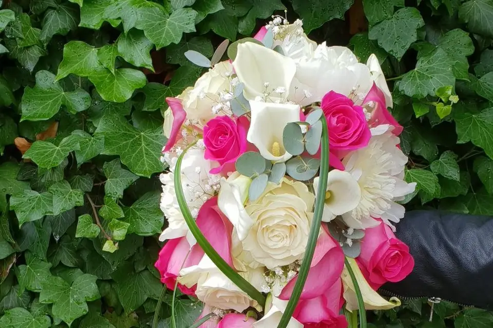 Ophélie Petit — photo 3