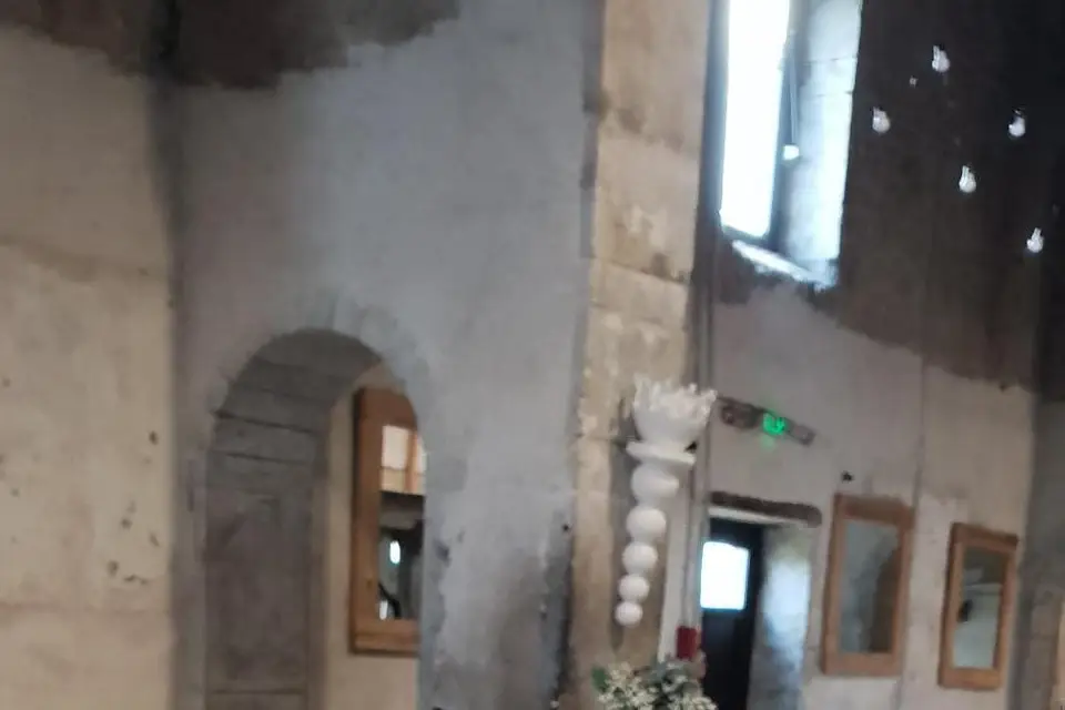 Ophélie Petit — photo 7