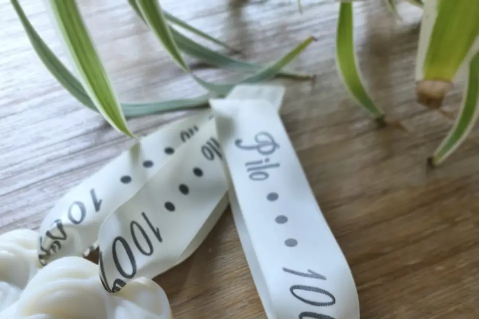 Pilo Creations — photo 2