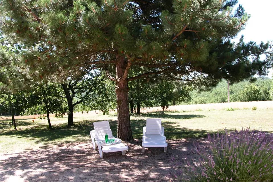 Village de gîtes Les Collines d'Eyvigues — photo 2