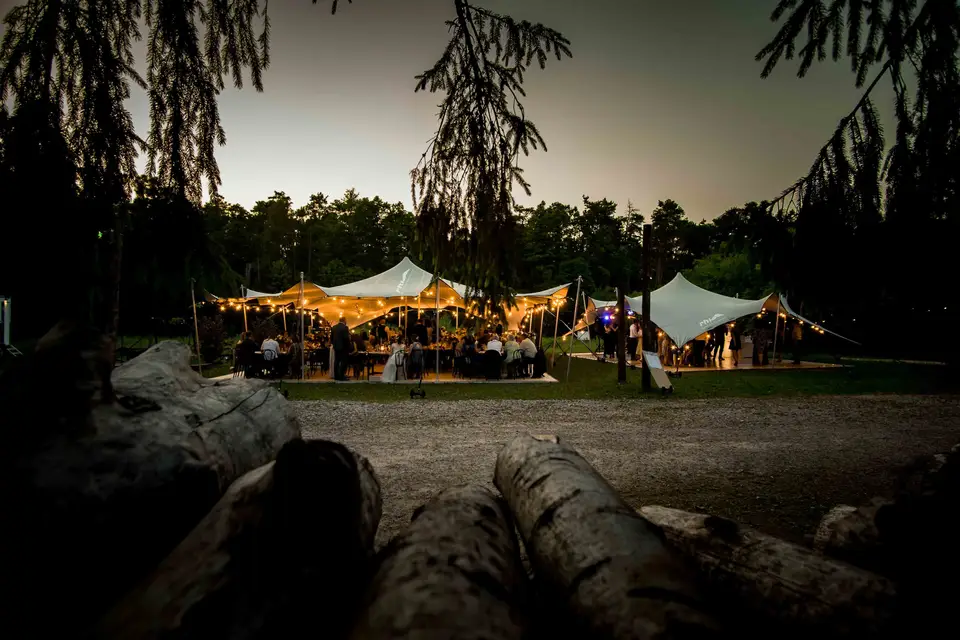 Novolive — photo 6