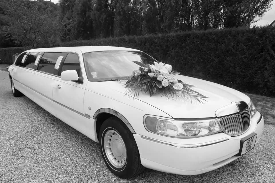 DLF Vidéo — photo 4