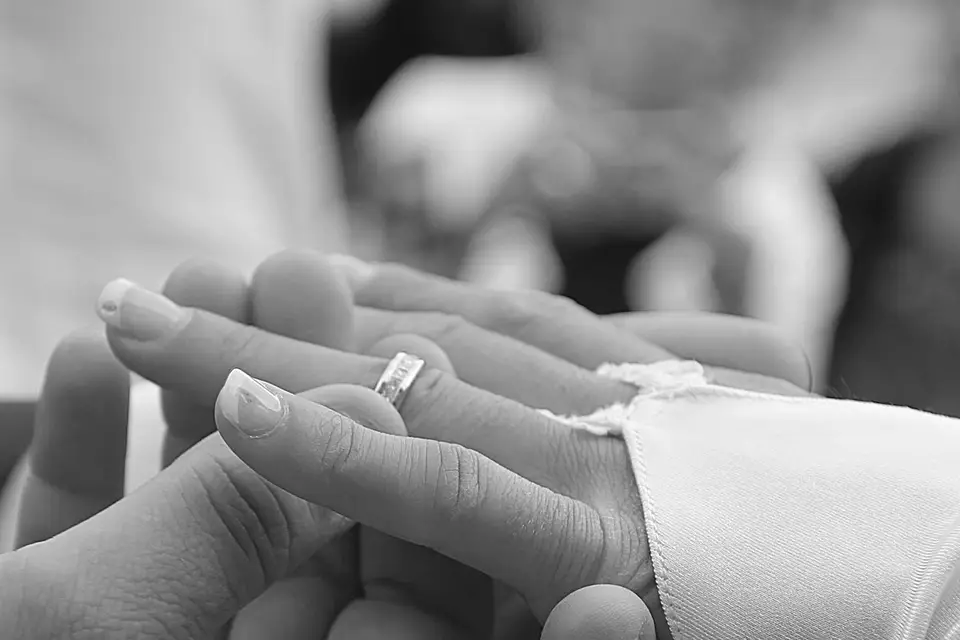 DLF Vidéo — photo 5