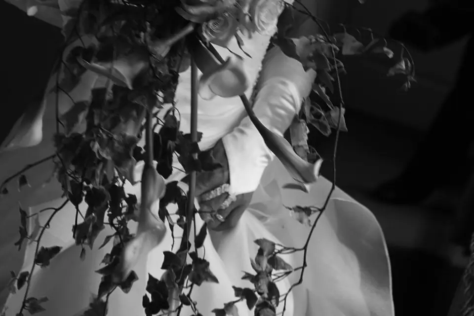 DLF Vidéo — photo 6