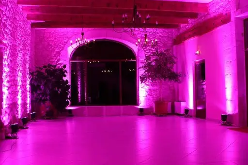 Tropical Fun Event — photo 3