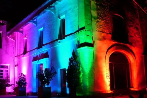 Tropical Fun Event — photo 4