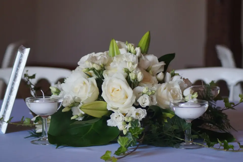 Phaleno Event — photo 7