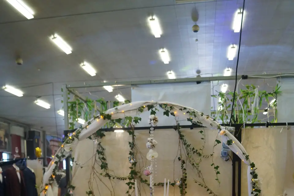 Phaleno Event — photo 8