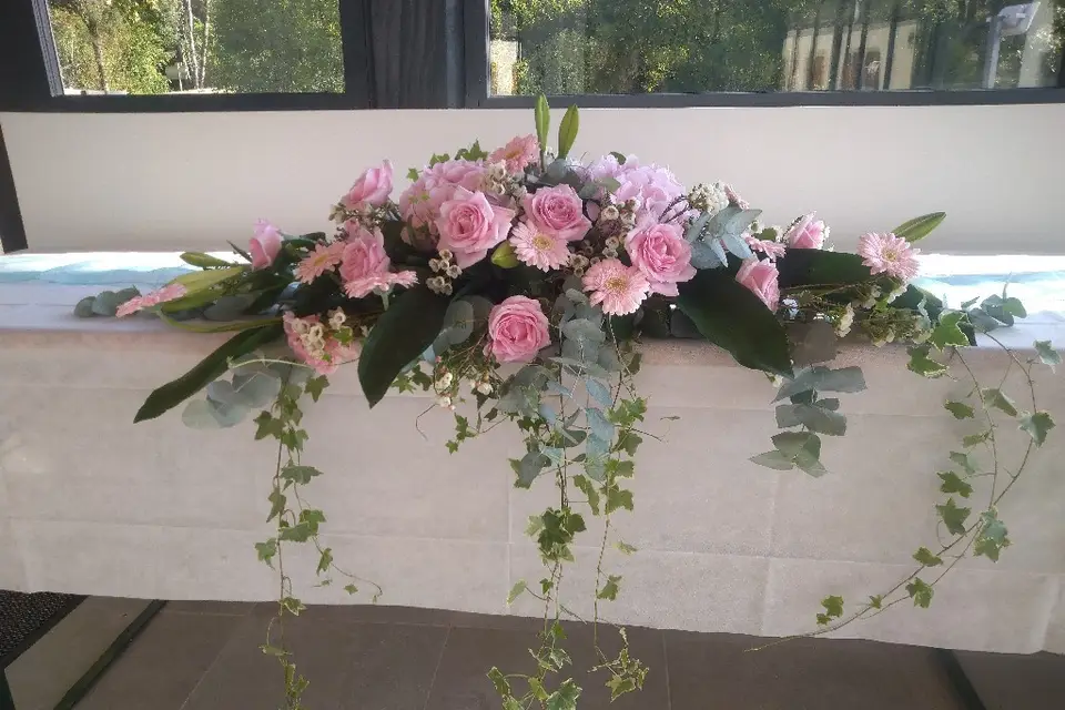 Phaleno Event — photo 2