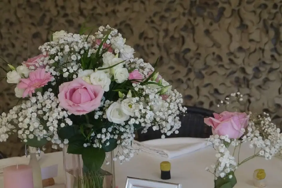 Phaleno Event — photo 1