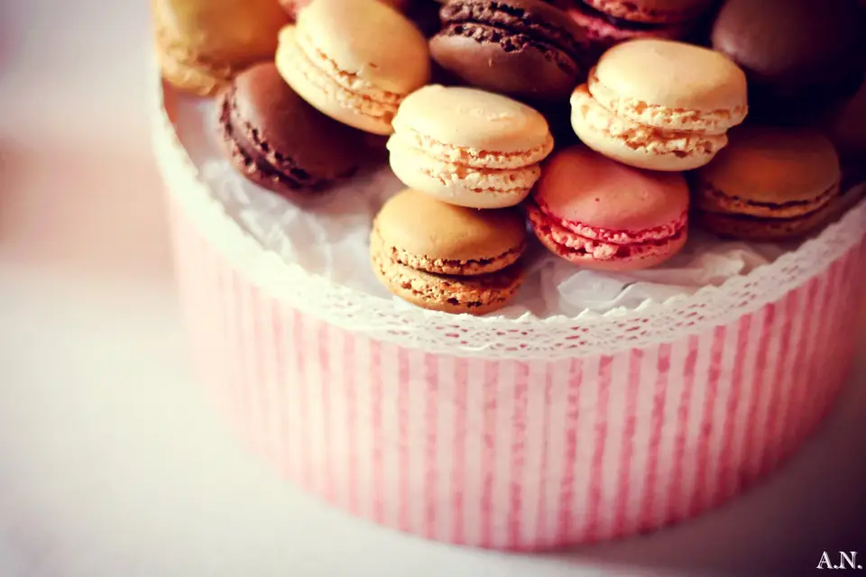 Beaumanoir Décoration — photo 8