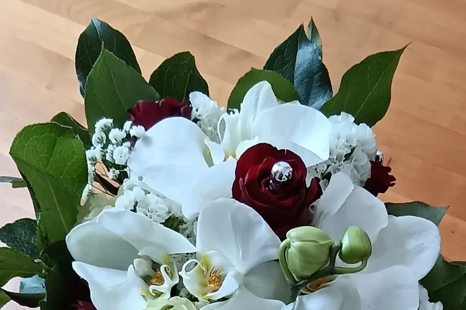 La vie fleurie — photo 4