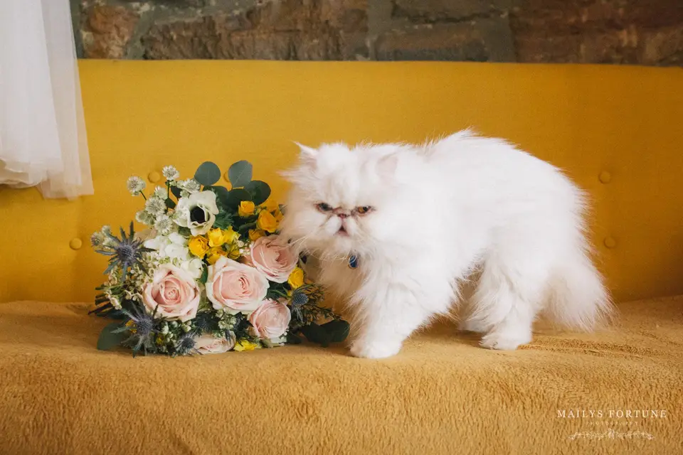 Marine Wedd's — photo 3