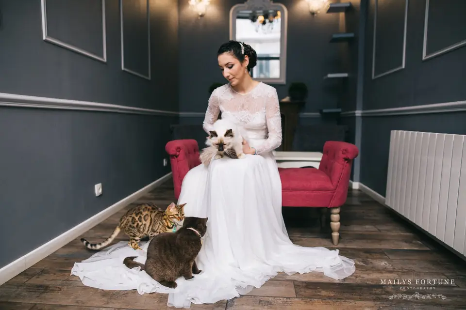 Marine Wedd's — photo 6