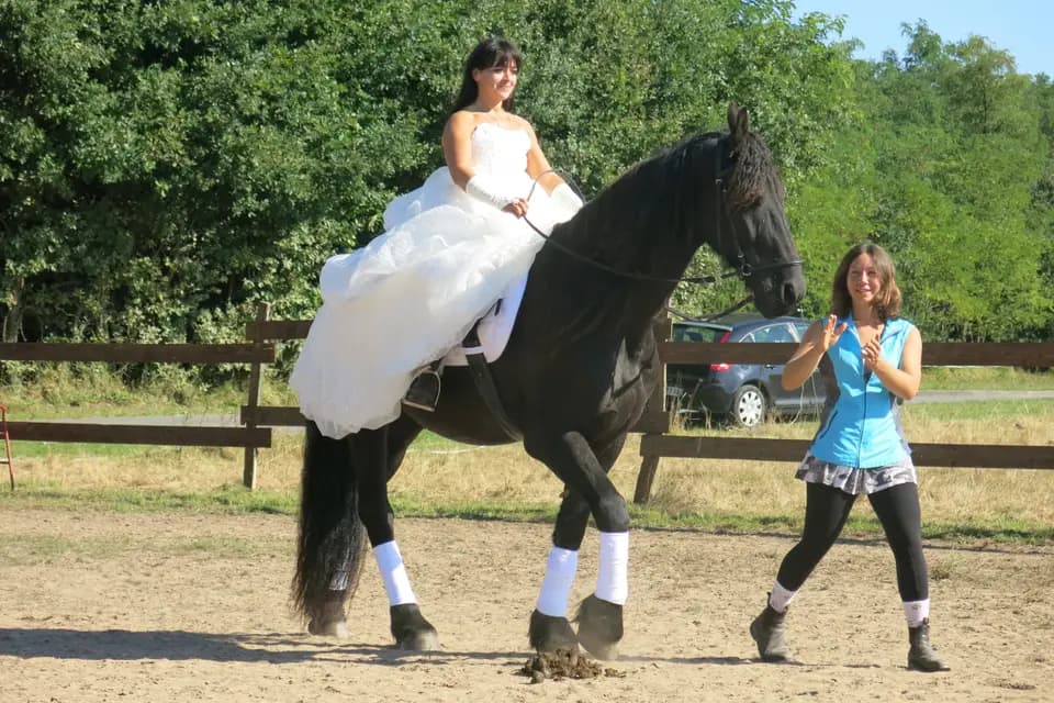 Touraine Cheval — photo 1