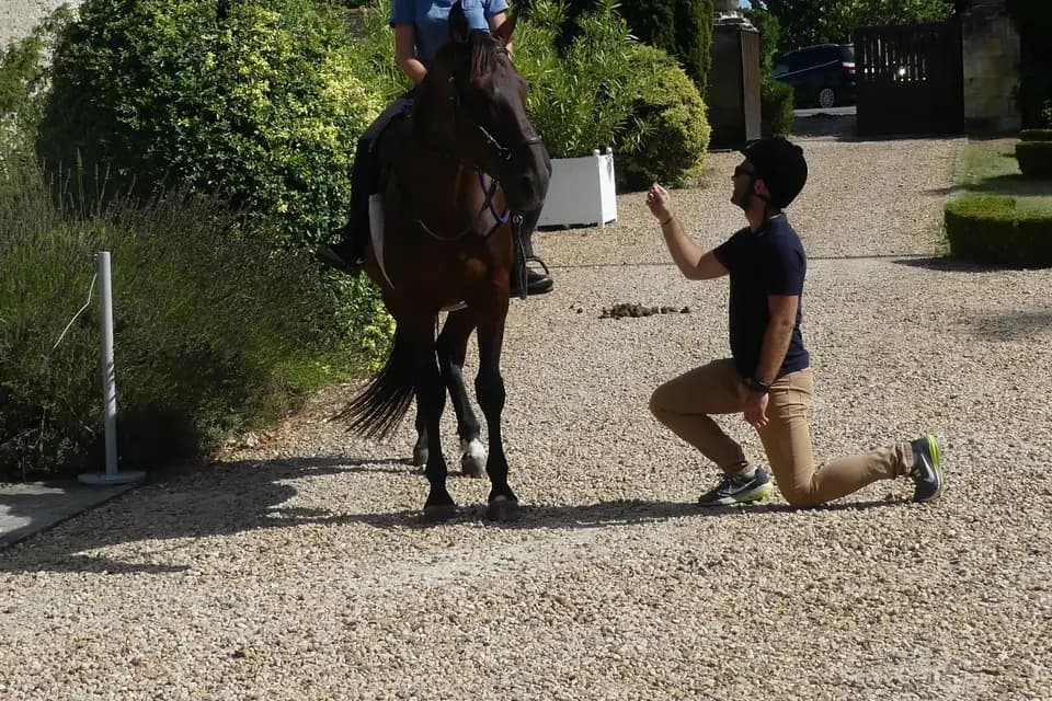 Touraine Cheval — photo 8