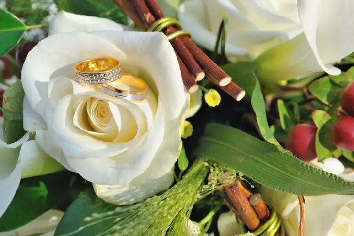 Sylvain Bizzocchi — photo 2