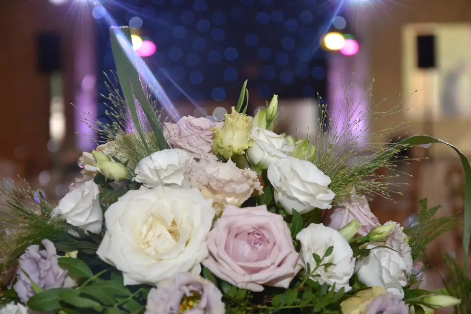 Grinyland — photo 5