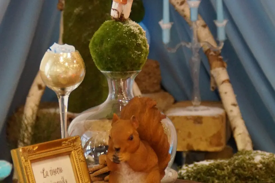 Décoliz — photo 2