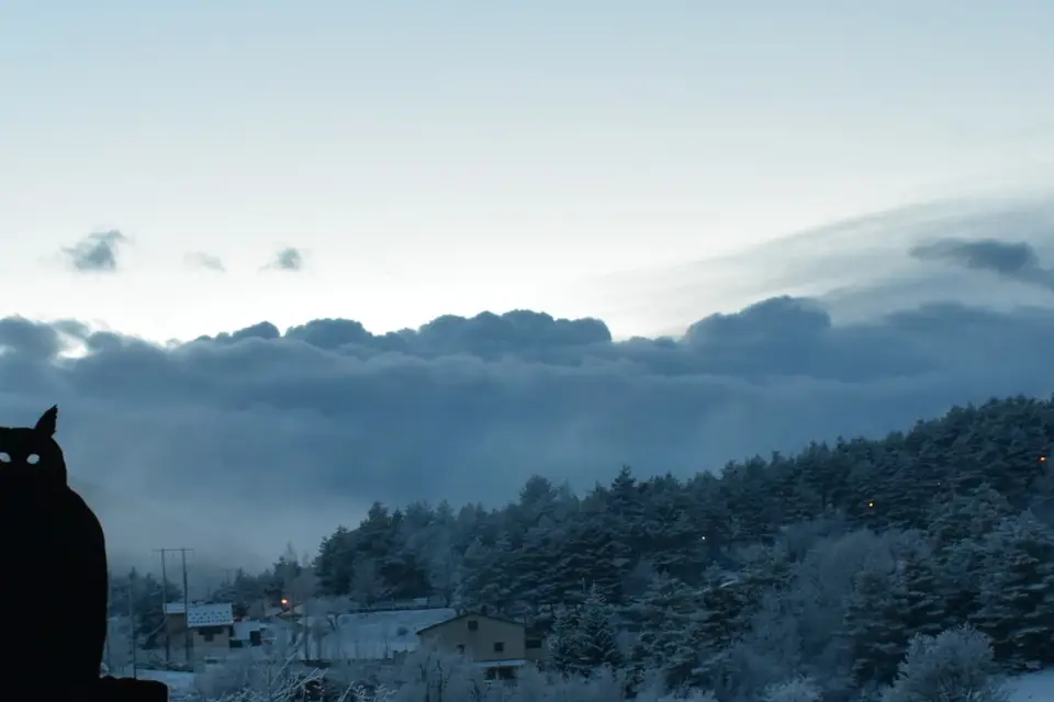 L'anon d'Andon — photo 8