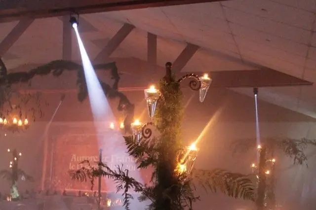 Décoliz — photo 4