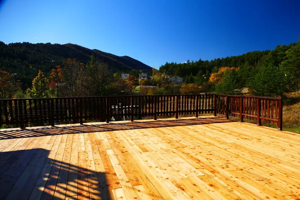 L'anon d'Andon — photo 3