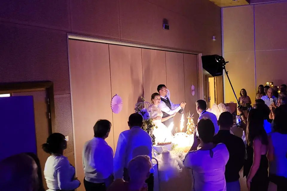 Orchestre les Sarka'sticks — photo 4