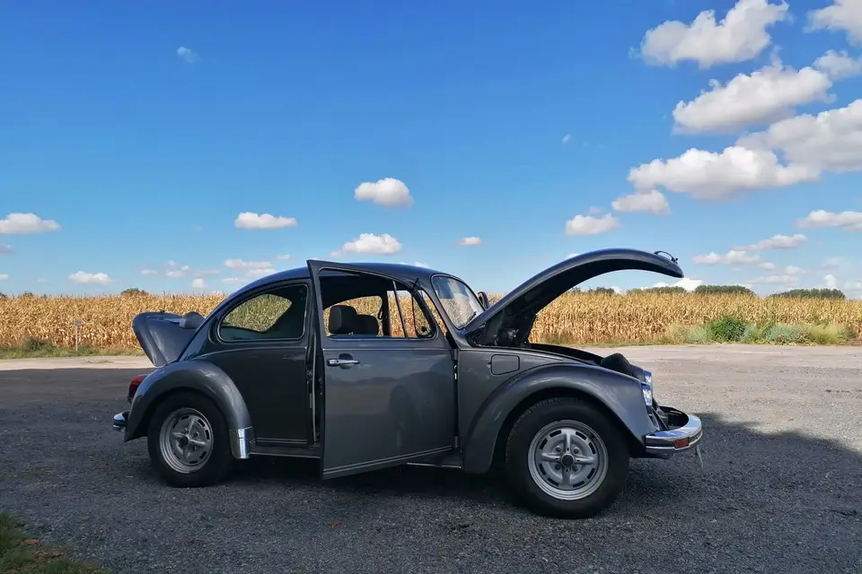 Trioux Valentin — photo 5