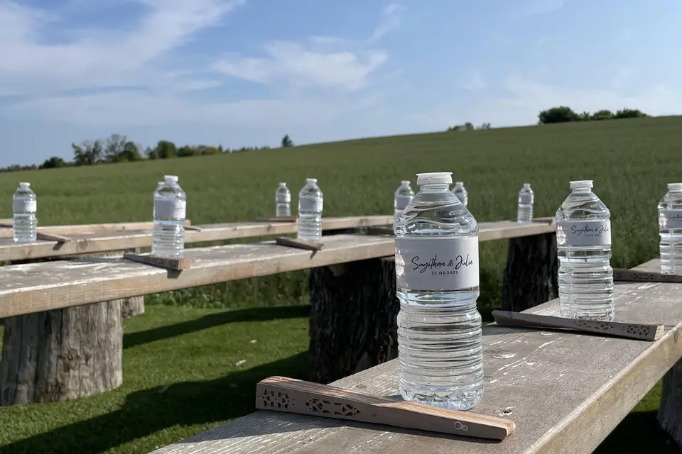 Asma & Co — photo 3