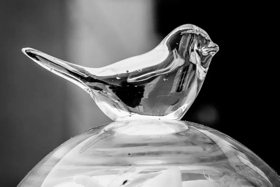 L.S Traiteur — photo 4