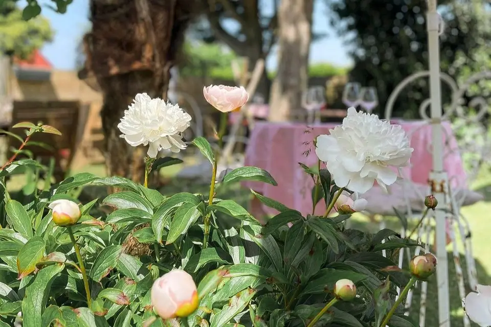 Auberge du Cronquelet — photo 3