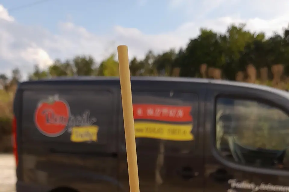 Rougail Party — photo 1