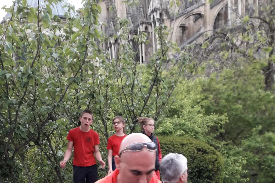 El Maestro Animation — photo 6