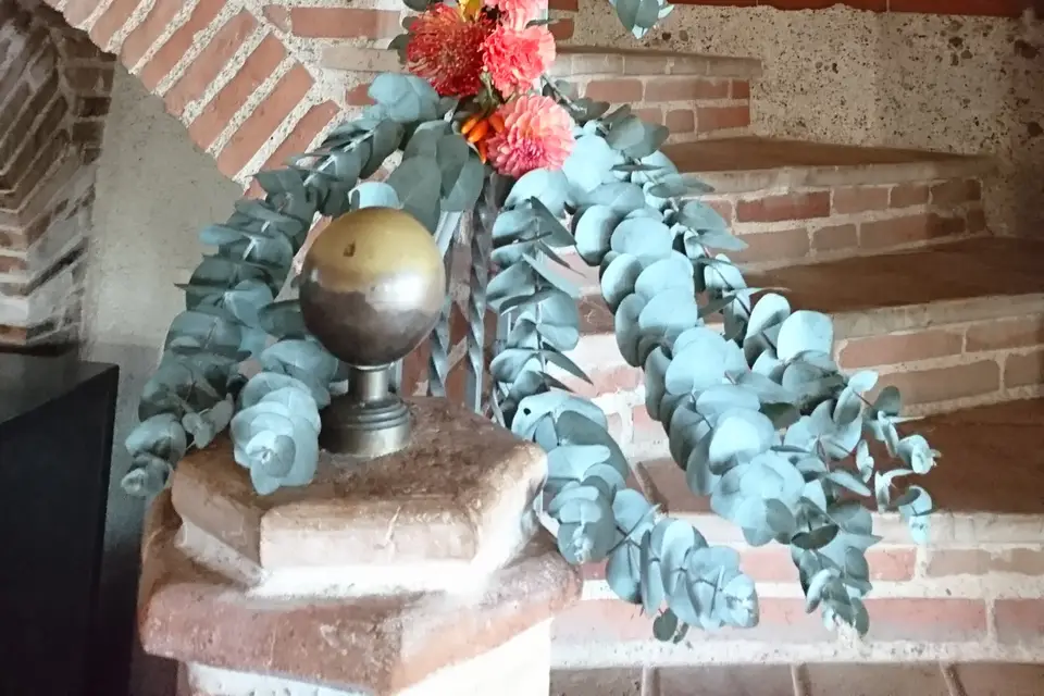 Rose Bohème — photo 5