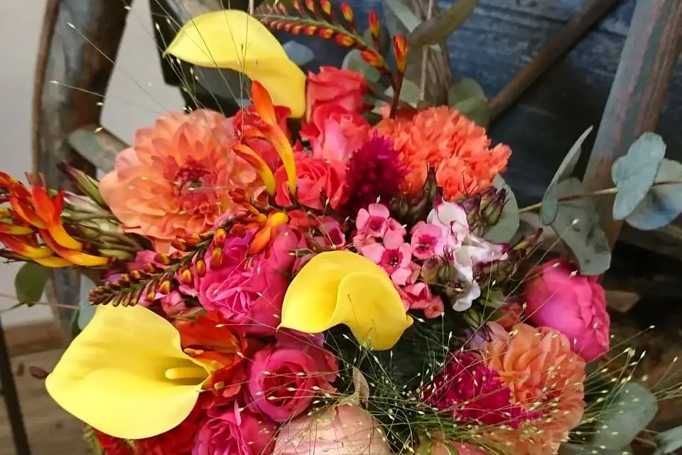 Rose Bohème — photo 7