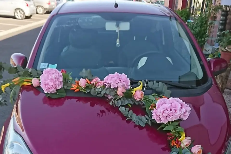 Rose Bohème — photo 6