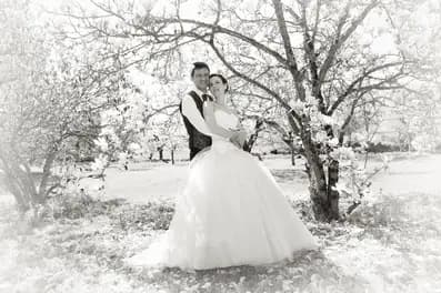 Alexis Baud — photo 7