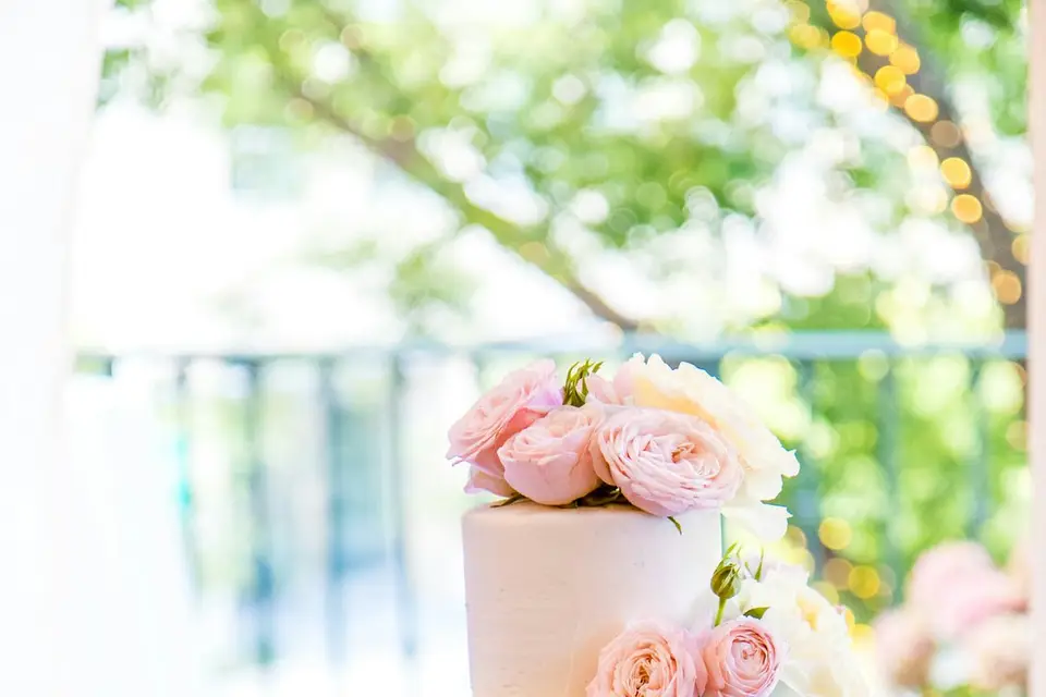 Planifia Events — photo 5